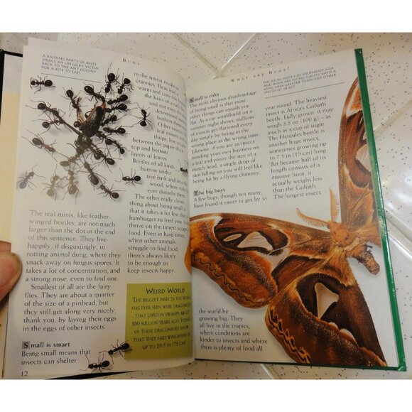 Vintage Secret Worlds Bugs A Close Up View of the Insect World Hardcover Book - Picture 7 of 16